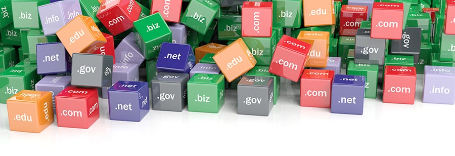 SSM Domain Names